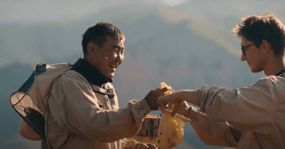 На Венгерско-кыргызском бизнес-форуме показали ролик о кыргызском меде, как о лучшем в мире