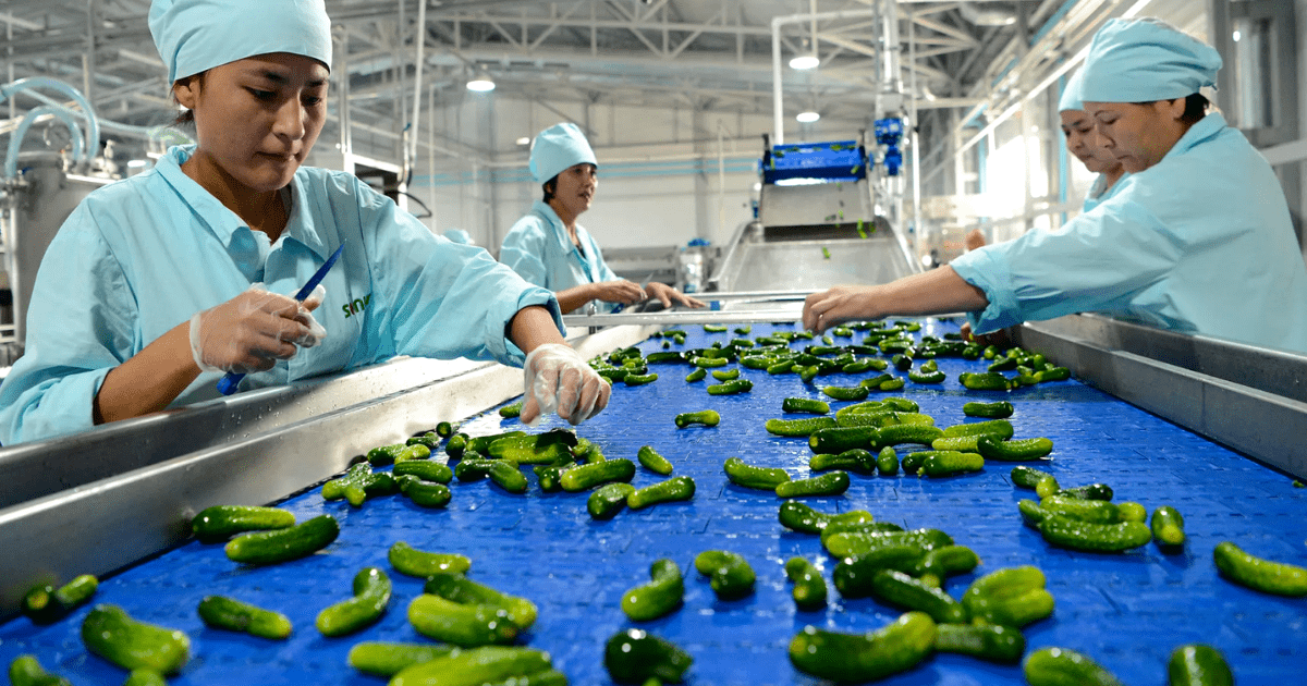 Кыргызстанский бренд Sonun экспортирует консервированные овощи в Россию, Казахстан и США — видео