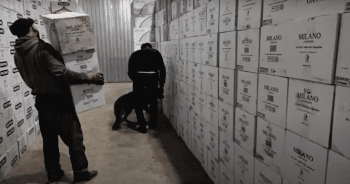В Кыргызстан хотели контрабандой завезти сигареты из Турции на 58 млн сомов