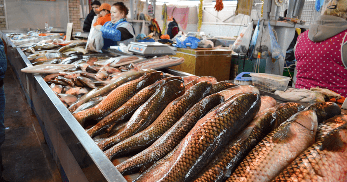 Казахстан готовится ввести запрет на вывоз некоторых видов рыбы