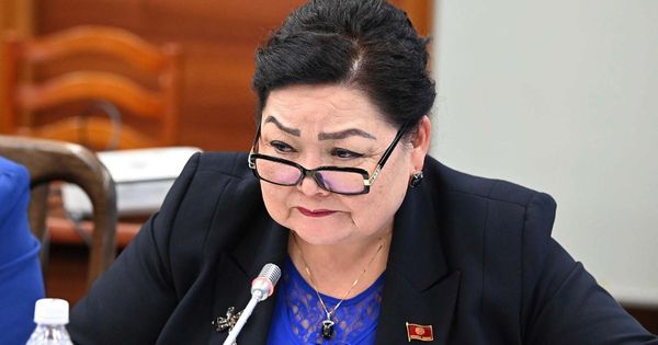 Депутат Надира Нарматова предложила создать агентство по развитию туризма на базе двух ведомств изображение публикации