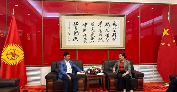 Китай упростит предоставление виз для бизнесменов из Кыргызстана изображение публикации