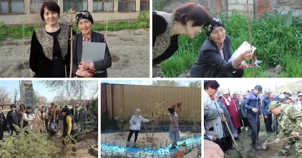 Начат проект по посадке и защите более 60 тысяч деревьев изображение публикации