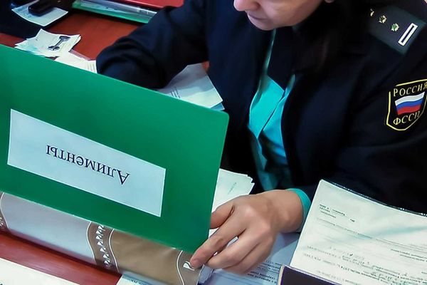 Еще один сибиряк перед поездкой в Кыргызстан был вынужден погасить долги в Новосибирской области изображение публикации