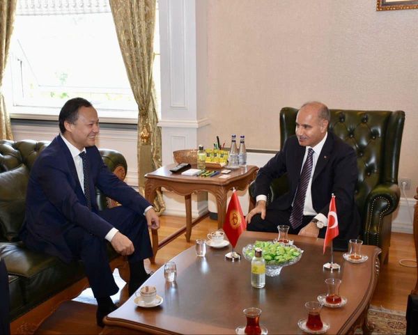 Кыргызстан предложил Турции рассмотреть возможность взаимных поездок по внутренним паспортам изображение публикации