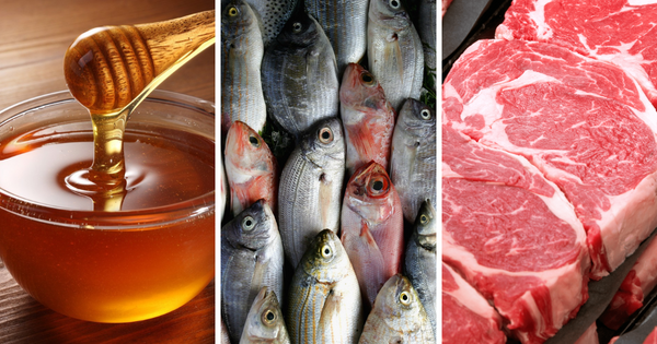 Итоги ЭКСПО "Китай - Евразия" - Кыргызстан заключил экспортные контракты на поставку меда, мяса и рыбы изображение публикации