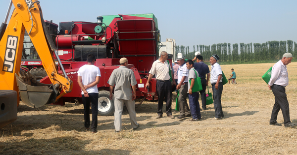 Более половины выданных гарантий в КР направлены на развитие сельского хозяйства изображение публикации