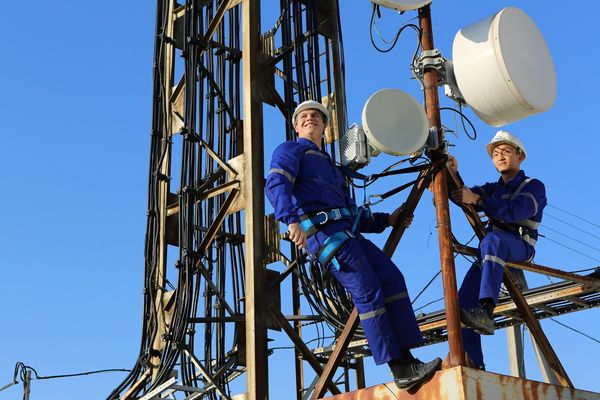 Итоги работы за I-е полугодие MEGA: Динамичный рост и исторические максимумы изображение публикации