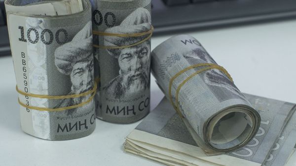 Налоговая служба за семь месяцев перевыполнила план сборов на 1.2 млрд сомов изображение публикации