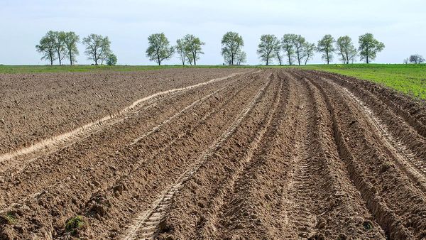 Кыргызстан ограничен в возможностях расширения пашень - замминистра сельского хозяйства КР изображение публикации