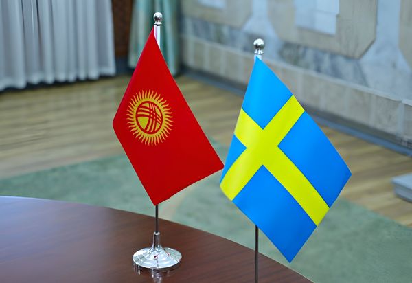 Обход санкций? Швеция вслед за Финляндией и Великобританией заинтересовалась ростом экспорта в КР изображение публикации