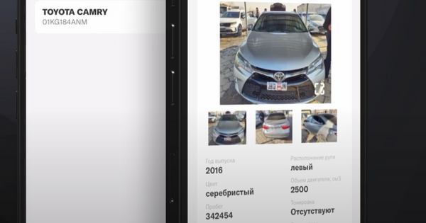 В Кыргызстане запустили расширенный CarCheck - за 10 сомов можно узнать цвет авто и расположение руля изображение публикации