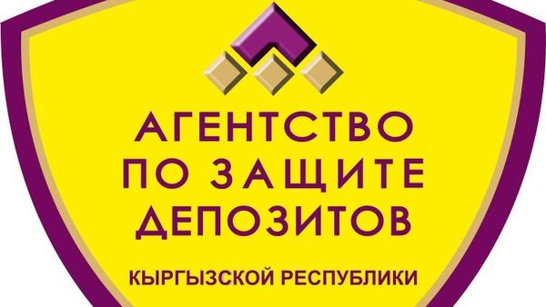 Агентство по защите депозитов может заняться ликвидацией банков и микрокредитных организаций изображение публикации