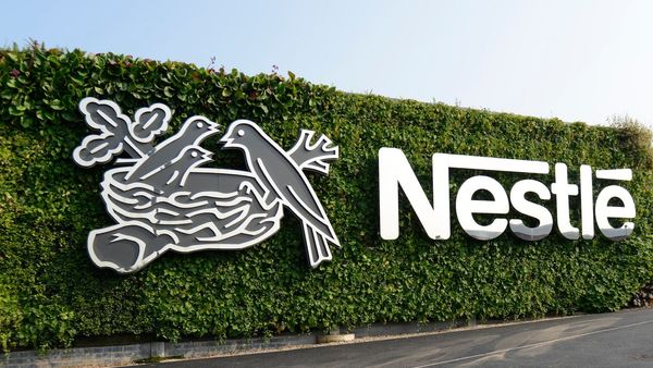 Нацагентство по инвестициям предложило Nestle открыть производство в Кыргызстане изображение публикации
