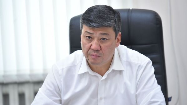 Дефицита муки в стране нет, дорожает только казахстанская - Бакыт Торобаев изображение публикации