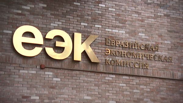 €1000 и 31 килограмм - ЕЭК продлила действие порога беспошлинного ввоза товаров еще на полгода изображение публикации