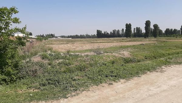 ГКНБ вернул государству земли в Баткенской области на 1 млрд сомов изображение публикации