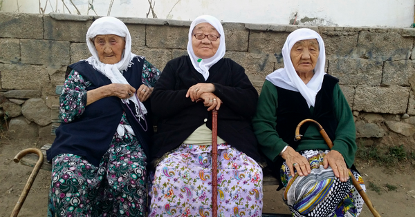 Кыргызстанцев, бросивших своих нетрудоспособных родителей, будут штрафовать на 100 тысяч сомов изображение публикации