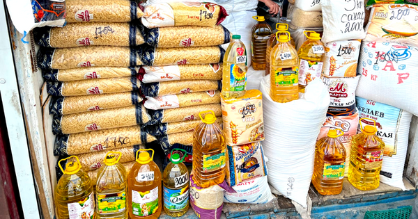 Россия может помочь Кыргызстану обеспечить себя продуктами – глава "Русагро" изображение публикации