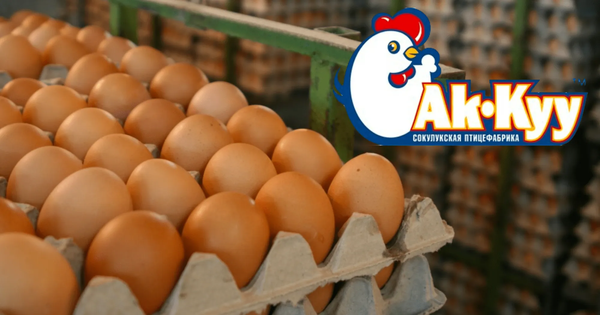 Крупнейший акционер птицефабрики "Ак-Куу" подарил 48.82% акций двум лицам изображение публикации