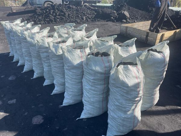 Недостатка нет, цены стабильные - Антимонополия проверила точки продаж угля изображение публикации