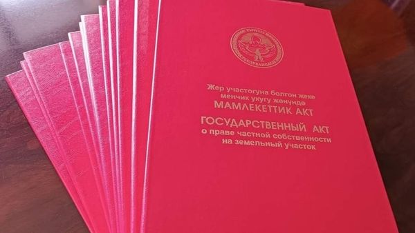 В Бишкеке начнут массовую выдачу «красных книг» изображение публикации