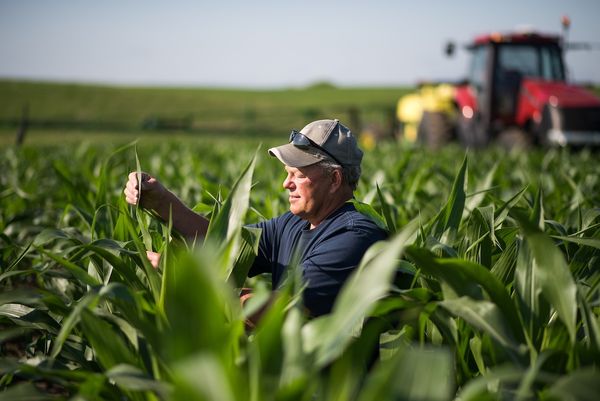 Сельхозпроизводителям Кыргызстана все еще нужна экспертная поддержка изображение публикации