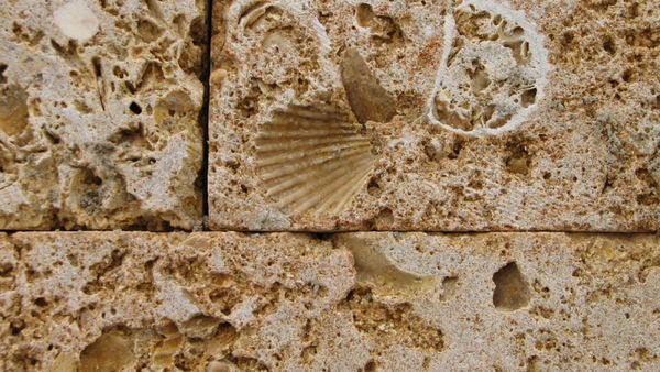 Кабмин на полгода запретил вывозить известняк из Кыргызстана изображение публикации