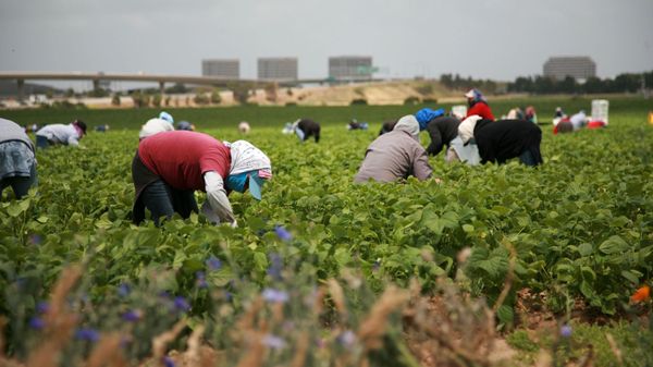 Германия хочет возвращать в Кыргызстан нелегальных мигрантов - готовит соглашение изображение публикации