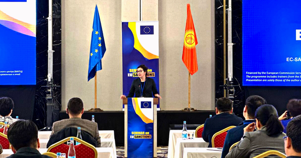 Мы приветствуем то, что КР не желает выступать платформой для обхода санкций против РФ – представитель Евросоюза изображение публикации