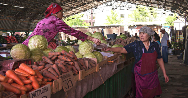 Кому с нового года нельзя будет работать по патенту – список видов деятельности изображение публикации