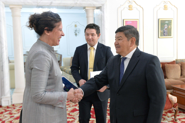 Глава кабмина КР провел встречу с представителем ООН — что обсудили? изображение публикации