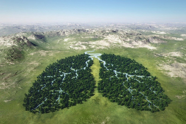 Минсельхоз планирует развивать в Кыргызстане карбоновые фермы изображение публикации