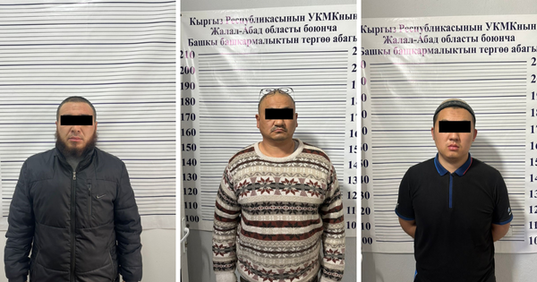 ГКНБ задержал мэра Токтогула - он с ОПГ присвоил половину предприятия по добыче кварца изображение публикации