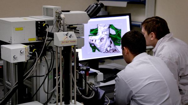 Научным работникам в Кыргызстане хотят в два раза увеличить зарплату изображение публикации