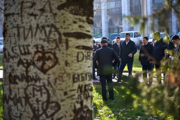 Выйти за рамки старых систем — мэр Бишкека рассказал, как улучшить облик столицы изображение публикации