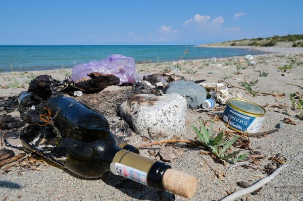 Каждый кыргызстанец пришел бы в ужас, если бы знал масштабы экологического загрязнения на Иссык-Куле – депутат изображение публикации