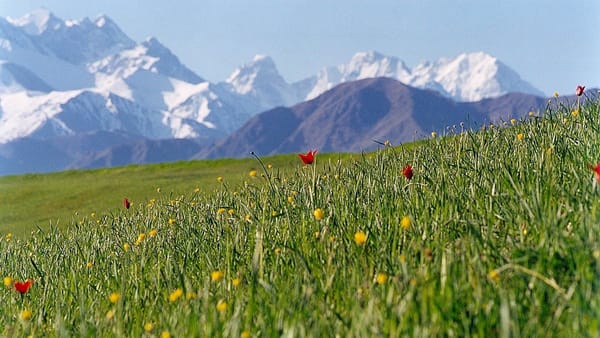 Пострадавшим Баткенской и Ошской области повысили пособие до 5.5 тысяч сомов изображение публикации