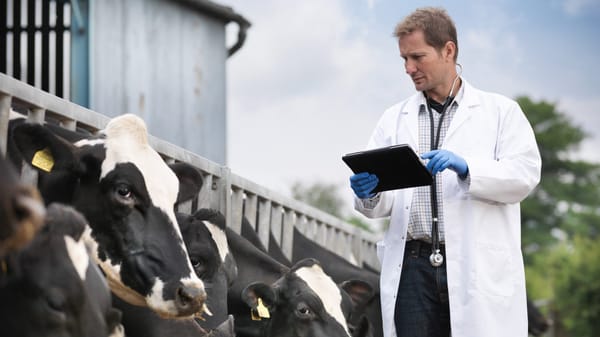 В 2025 году в Кыргызстане  проведут сельхозперепись изображение публикации