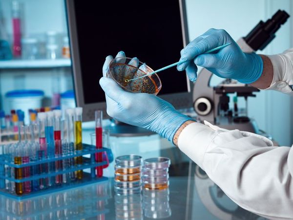 В Кыргызстане на реализацию девяти научных проектов выделили 110.7 млн сомов изображение публикации