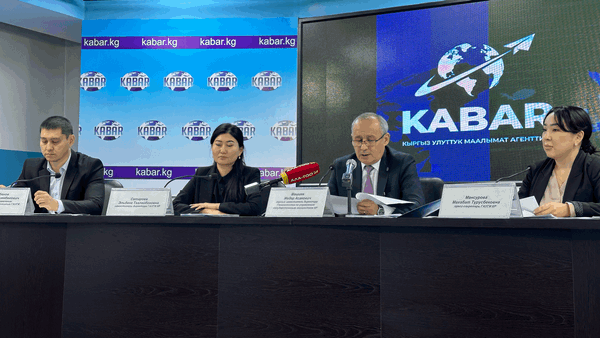 ГАУГИ за десять месяцев перечислило в бюджет страны более 20.5 млрд сомов изображение публикации