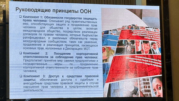 В Бишкеке прошел круглый стол по защите прав человека в бизнесе изображение публикации