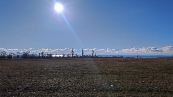 ГКНБ вернул в госсобственность очередной актив Камчы Кольбаева – 115 га земли изображение публикации