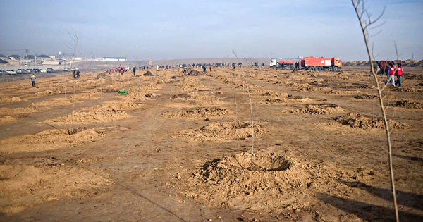 На потушенном мусорном полигоне создадут лесополосу из 850 деревьев – фото изображение публикации