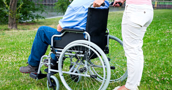В Кыргызстане хотят освободить от патентов ассистентов людей с инвалидностью изображение публикации