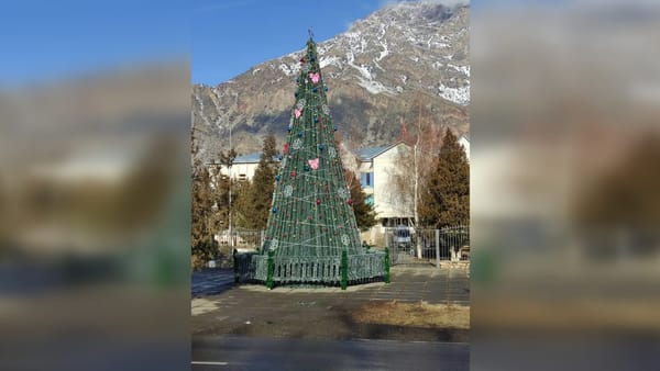 В Кара-Куле в третий раз за два года загорелась новогодняя елка — видео изображение публикации