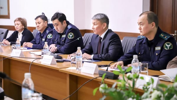 Кыргызстан переймет опыт Японии в цифровизации таможенных процессов изображение публикации