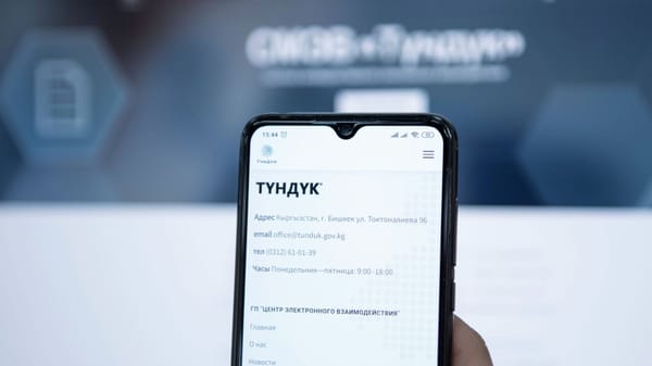 В приложении "Тундук" скоро появится цифровая пенсионная книжка изображение публикации