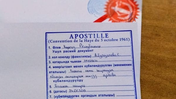 Кабмин утвердил новые ставки за оформление апостиля изображение публикации