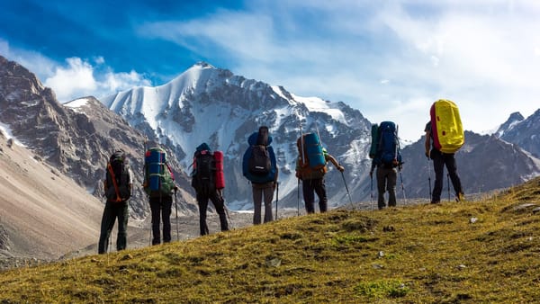 В 2023 году налоговые отчисления от гостиниц, ресторанов и туркомпаний составили 2.6 млрд сомов изображение публикации